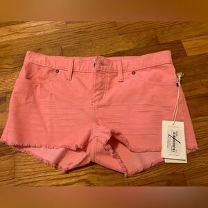 NWT Carve Designs shorts